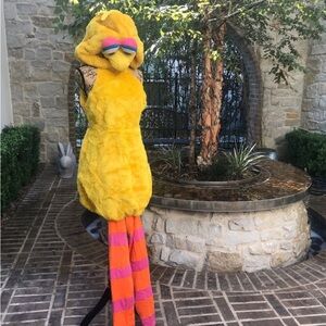 Sesame Street Big Bird Costume